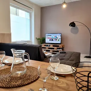 L'elysée Reclus. Spacieux T2 Refait à Neuf. Saint-Etienne (Loire)